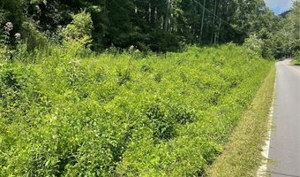 0 Martins Creek Rd, Barnardsville, NC 28709
