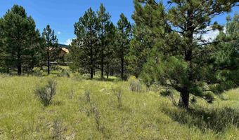 Lot 459 San Mateo, Angel Fire, NM 87710