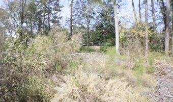 1074 Halton Ct, Brandon, MS 39047