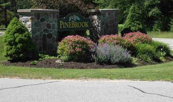 6497 Deer Path 117, Bellaire, MI 49615