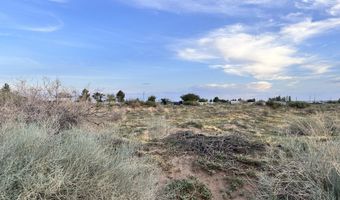 Tbd SHRODE Road, Anthony, NM 88021