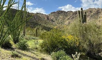 240 S Alley Rd, Ajo, AZ 85321