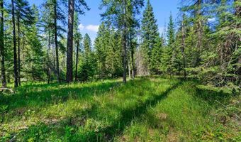28801 N LEWELLEN CREEK Rd, Athol, ID 83801