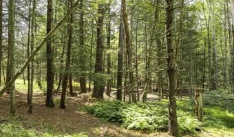 154 Lang Rd, Accord, NY 12404