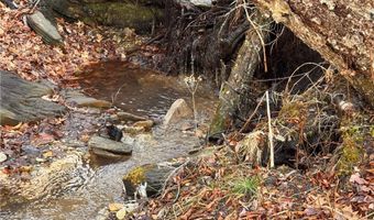 Snow Ridge Road lot 39 And 40, Banner Elk, NC 28604