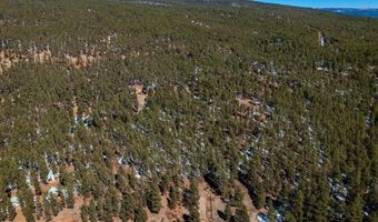 7070 CR 501, Bayfield, CO 81122