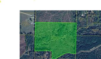 300 Block ANGEL, Amity, AR 71921
