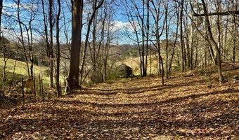 1520 Brittontown Rd, Afton, TN 37616