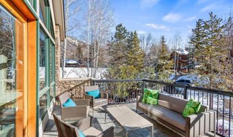 990 E Hopkins Ave, Aspen, CO 81611