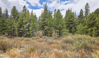 700 Looney Ln Lot 0, Alma, CO 80420