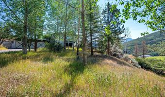 553 Brush Creek Rd, Aspen, CO 81611