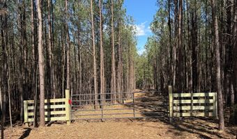 MOUNTAIN CUT RD lot C, Appomattox, VA 24522