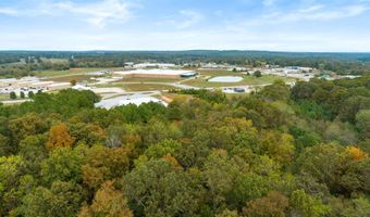 J & M Boulevard, Ash Flat, AR 72513