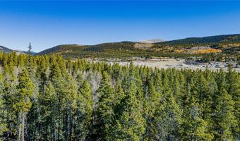 235 WILLOW Ln, Alma, CO 80440