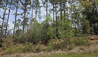 12287 Red Hill Rd Ext, Bay Minette, AL 36507