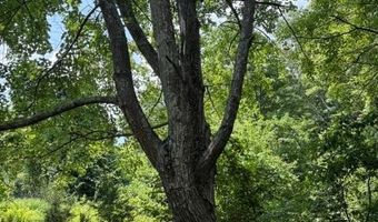 FOX RUN lot 24A 3.22 Ac, Baker, WV 26801