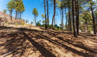 116 Pine Dr, Bayfield, CO 81122