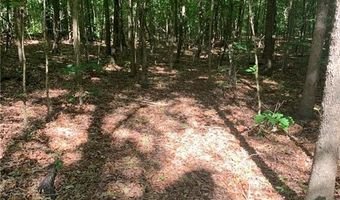 7700 Poole Cir Tract A, Alto, GA 30510