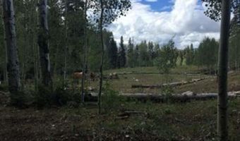 4558 Middle Mountain Rd, Bayfield, CO 81122