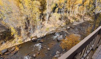1020 E Hopkins Ave 9, Aspen, CO 81611