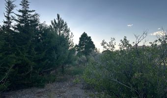 9 CHAMISA Ln, Castle Valley, UT 84532