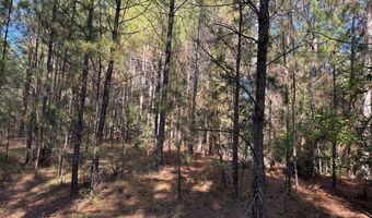 Smith County Road 18-5a, Bay Springs, MS 39422
