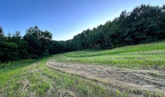 TBD Bear Pen Rd, Arkansaw, WI 54721