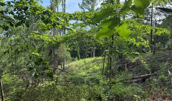 351 Mag Sluder Rd, Alexander, NC 28701