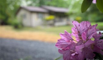 12 Thumper Ln, Arden, NC 28704