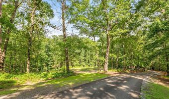 173 Hogan Pond Ln, Ball Ground, GA 30107