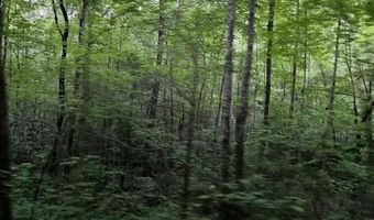 000 Chestnut Oaks, Andrews, NC 28901
