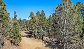 30 Chino Ter, Angel Fire, NM 87710