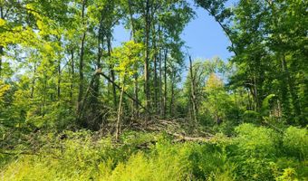 11128 Coleman Rd, Bennington, IN 47011