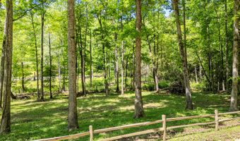 1064 Pinedale Ln, Andrews, NC 28901
