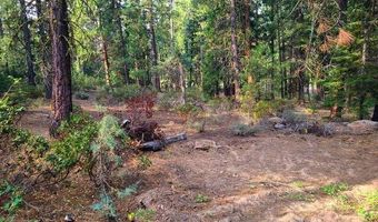 Yak Lane, Bonanza, OR 97623
