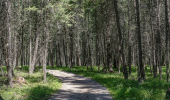 785 La Brant Rd, Bigfork, MT 59911