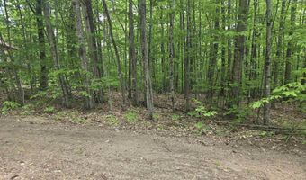 5 Panaway Dr 11-1-3, Campton, NH 03223