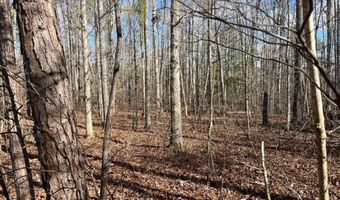 LOT 36 STONEY POINT, Double Springs, AL 35553