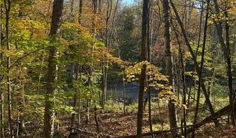 999 Porcupine Trl, Aitkin, MN 56431