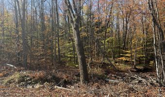 Rand Hill Road, Altona, NY 12910