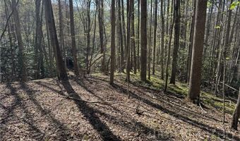 2438 Kellersville Rd, Banner Elk, NC 28604