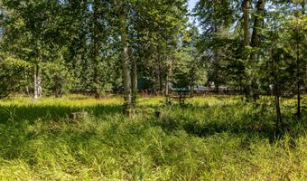 541 Alpine Dr, Bigfork, MT 59911