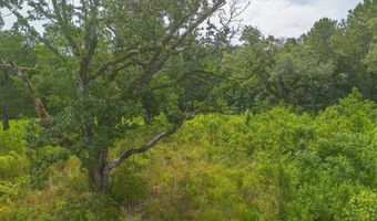 Oliver Street, Bay St. Louis, MS 39520