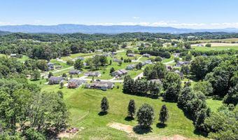 58 Fairview Ridges Dr, Afton, TN 37616