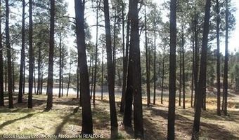 212 Lake Shore Dr 1, Alto, NM 88312