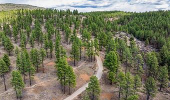 20861 Hwy 160, Bayfield, CO 81122