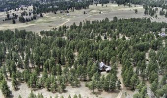 14 Winterwood Ct, Angel Fire, NM 87710