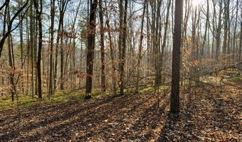 Muddy Ridge Rd, Adams, KY 41201