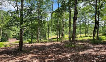0 Woodland Hills Rd, Andes, NY 13731