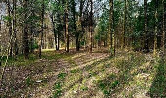 1361 Walkers Chapel Rd, Adolphus, KY 42120